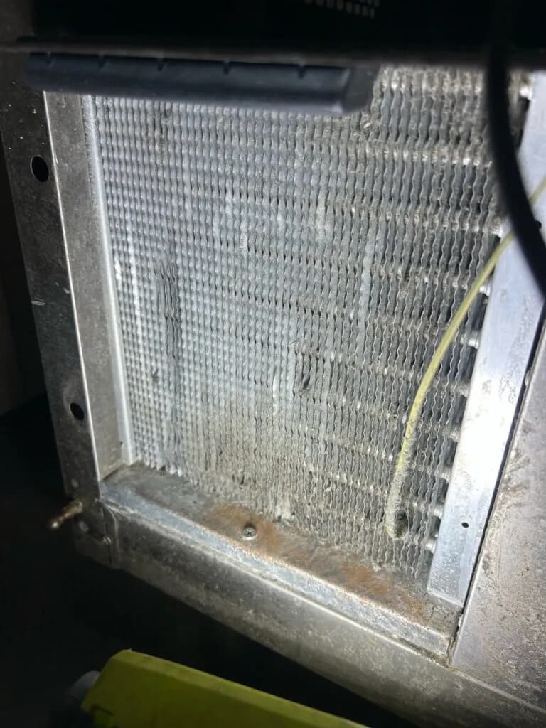 After a deep clean