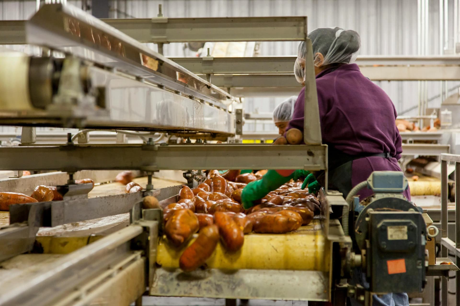 Food Production