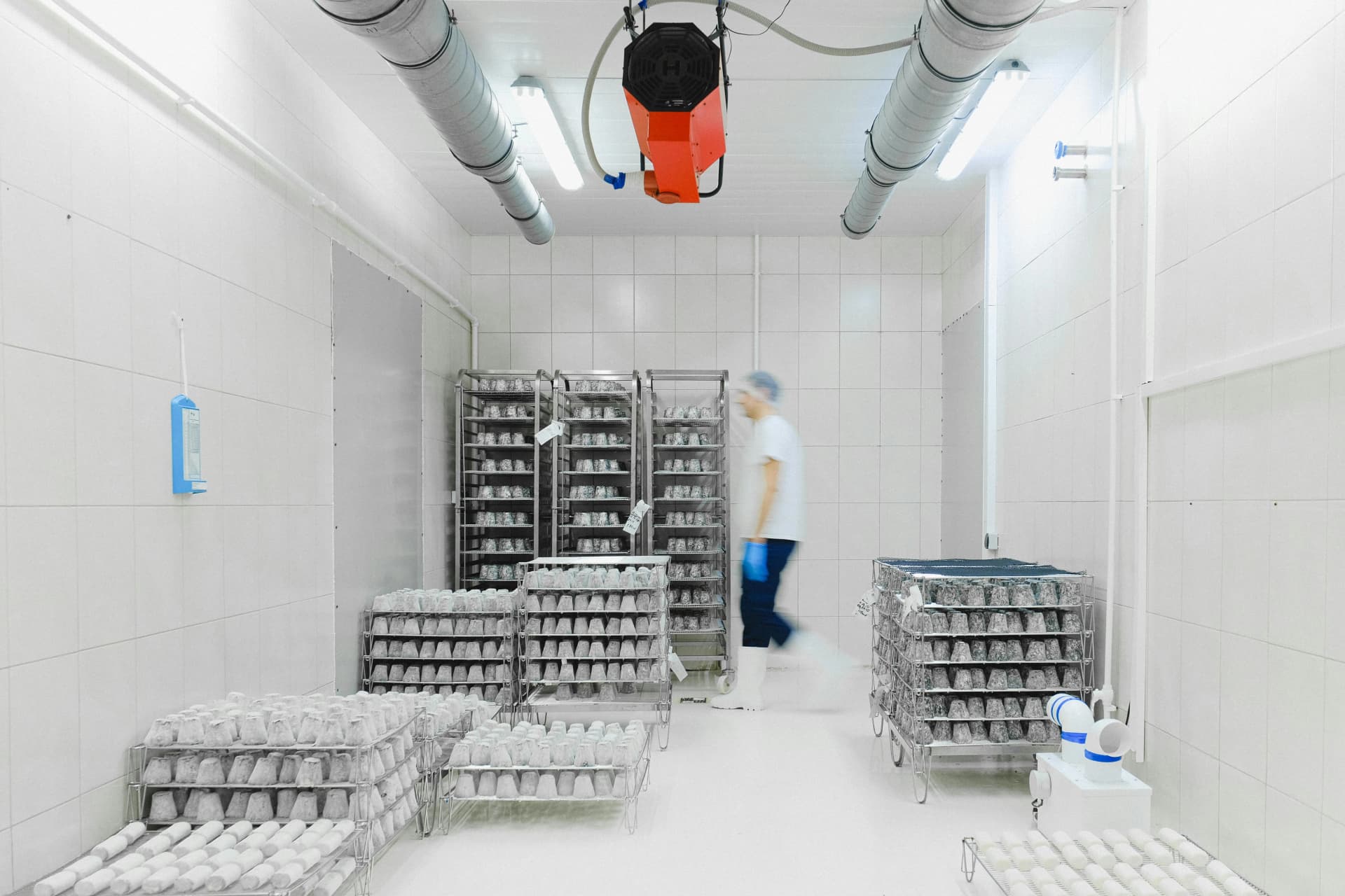 FreshMart: 200sqm Multi-Temperature Cold Storage