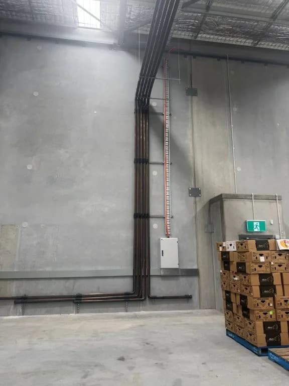 3000sqm Cold Room/Freezer Room Design & Construct — image 4