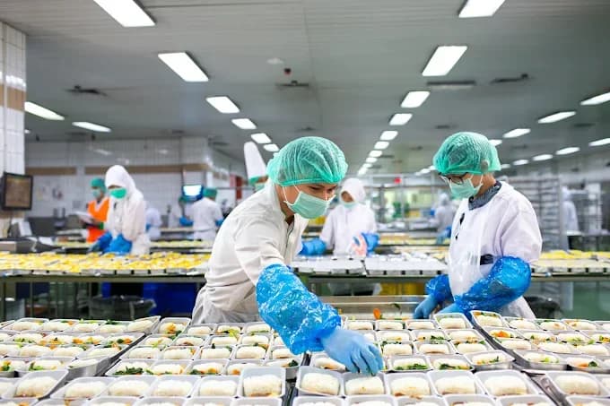 Live Food Processing Cold Room Upgrade (System Performance & Reliability Improved) — image 4